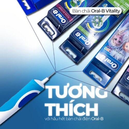 Bàn chải điện Oral-B Vitality Người lớn